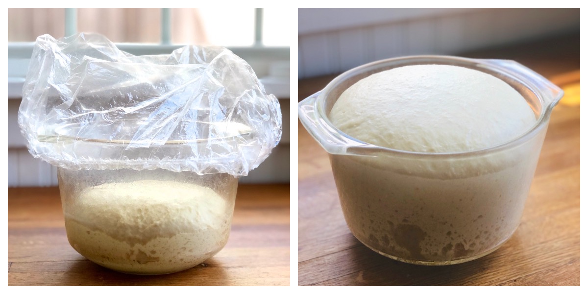 Two photos side by side: yeasst dough in a glass bowl before rising; and 90 minutes later, fully risen.