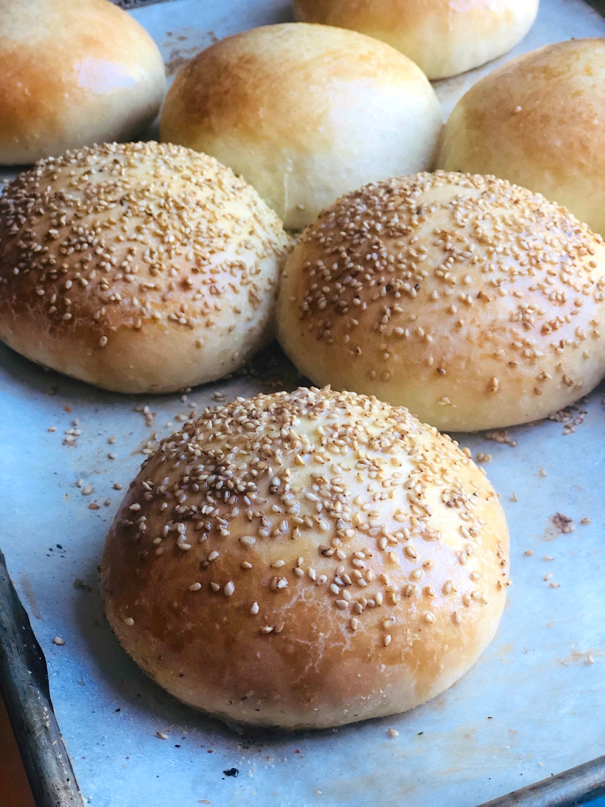 Closeup of a  baked seeded Beautiful Burger Bun, more buns in the background.