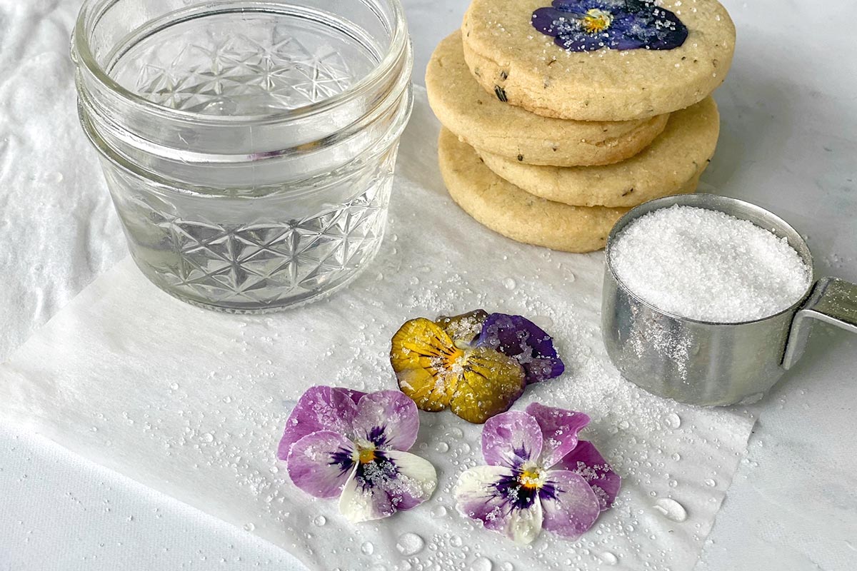 Pansies in the process of being candied