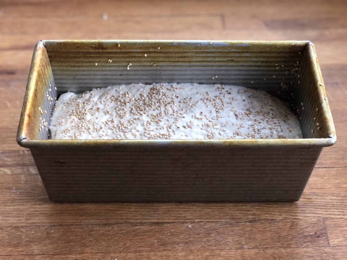 Sourdough bread dough in a 9" x 4" pan, sesame seeds sprinkled on top, ready to rise.