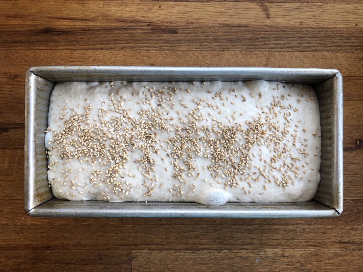 Sourdough bread dough in a 9" x 4" pan, risen and ready to bake.
