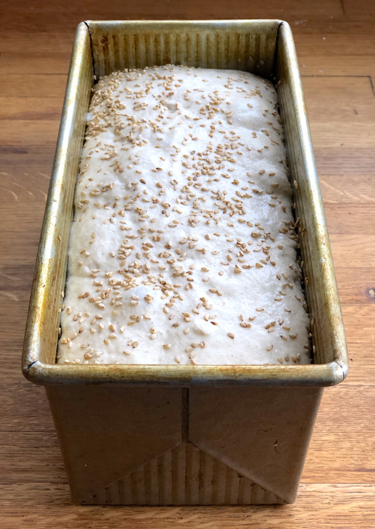 9" x 4"loaf pan holding rising loaf of sourdough bread.