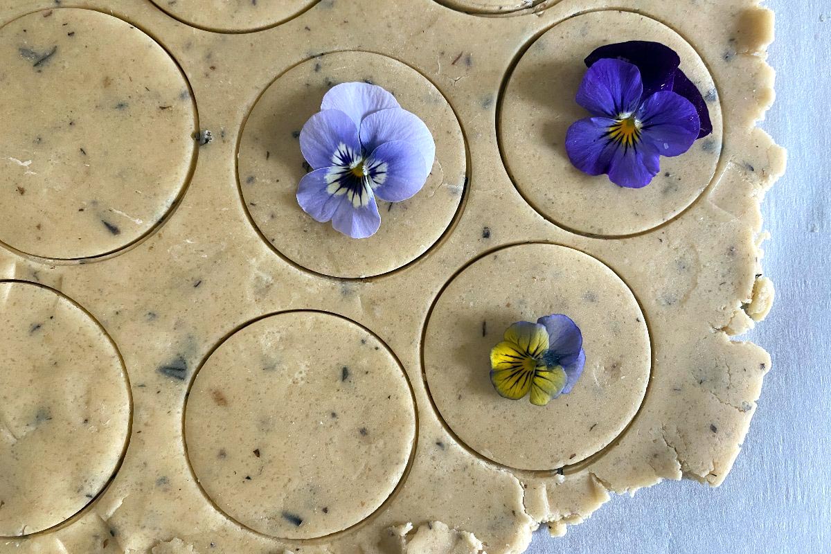 Rolled out shortbread dough with edible flowers pressed into the tops