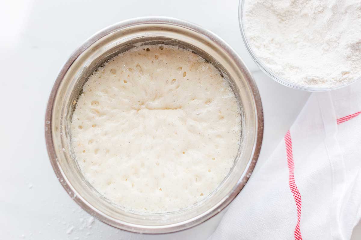 A bowl of gluten-free flour mixed with yeast that's begun to form bubbles on the surface
