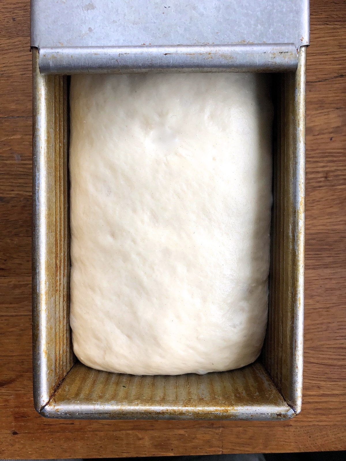 Rising bread dough in a loaf pan, ready to bake.