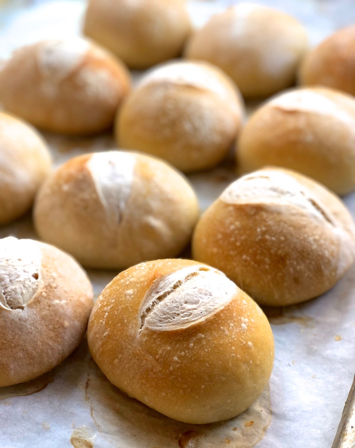 Baked crusty rolls on a baking sheet, just out of the oven.