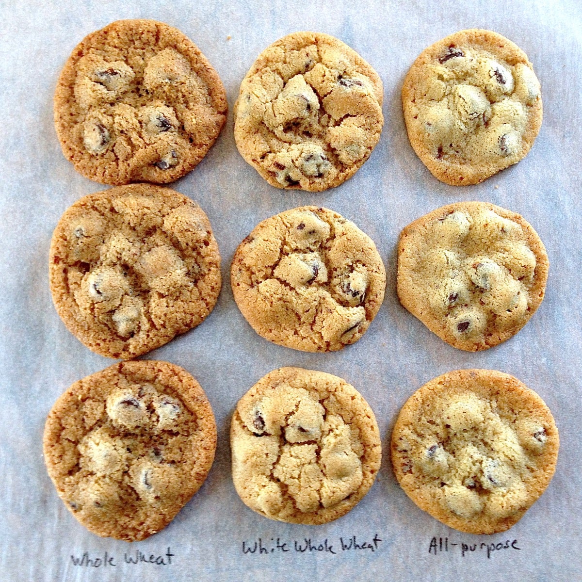 Three rows of chocolate chip cookies: all white flour, half white/half whole wheat, and all whole wheat flour.