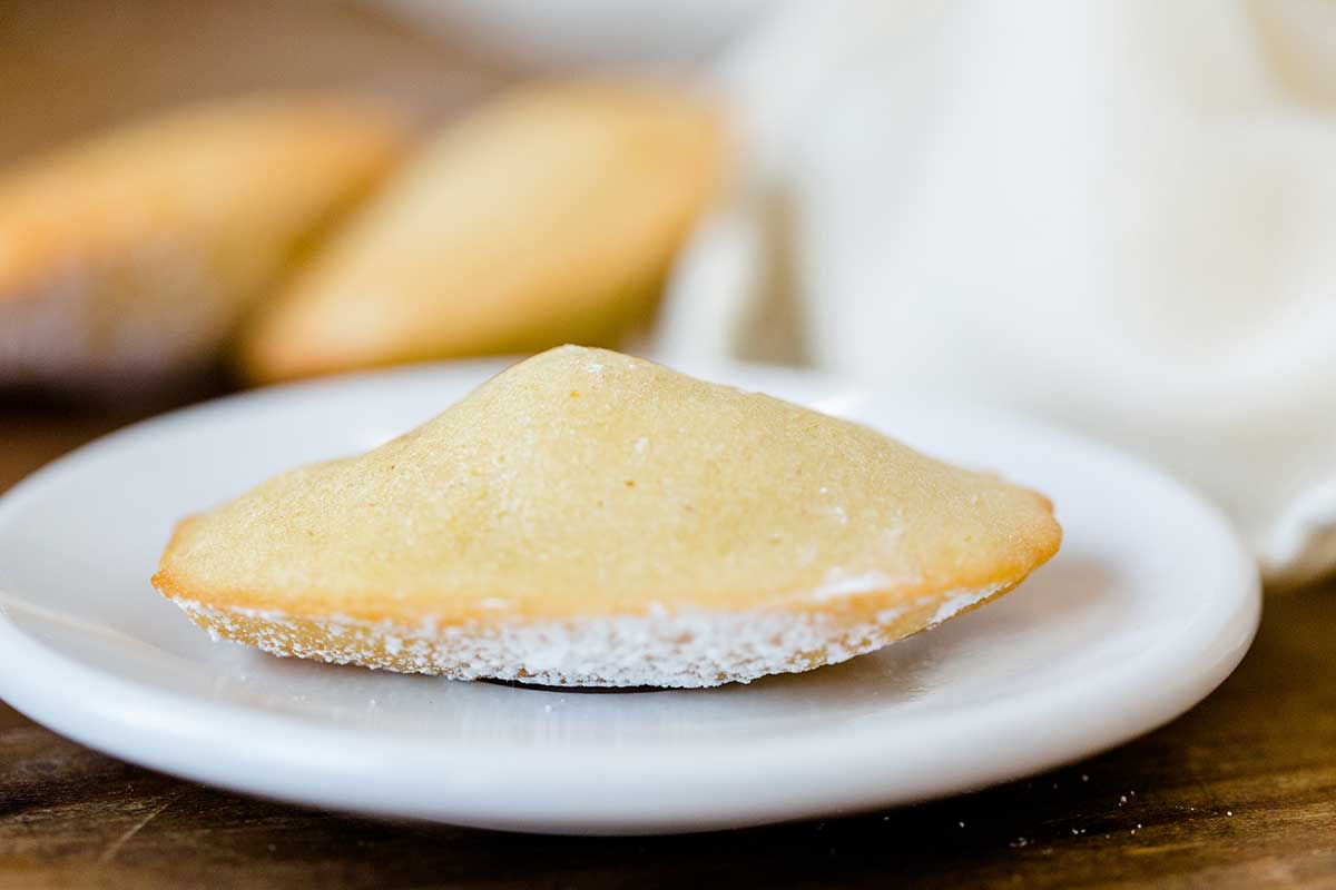 A close up shot of a vanilla madeleine dusted with confectioners' sugar showing a notable bump in the middle