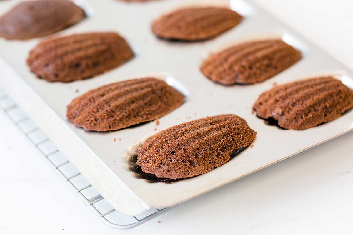 Chocolate madeleines cooling in their pan, dusted with cocoa powder