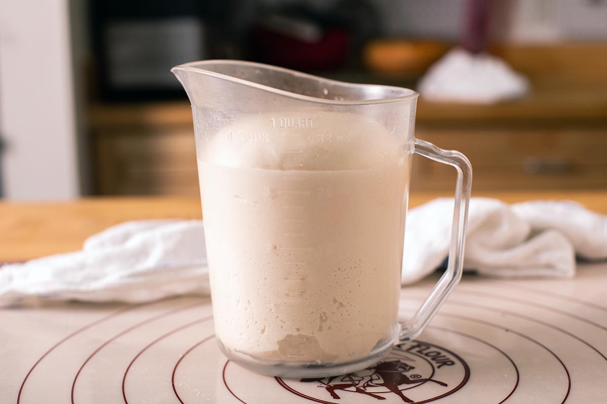 A large measuring cup containing fully risen bagel dough, ready to be divded and preshaped