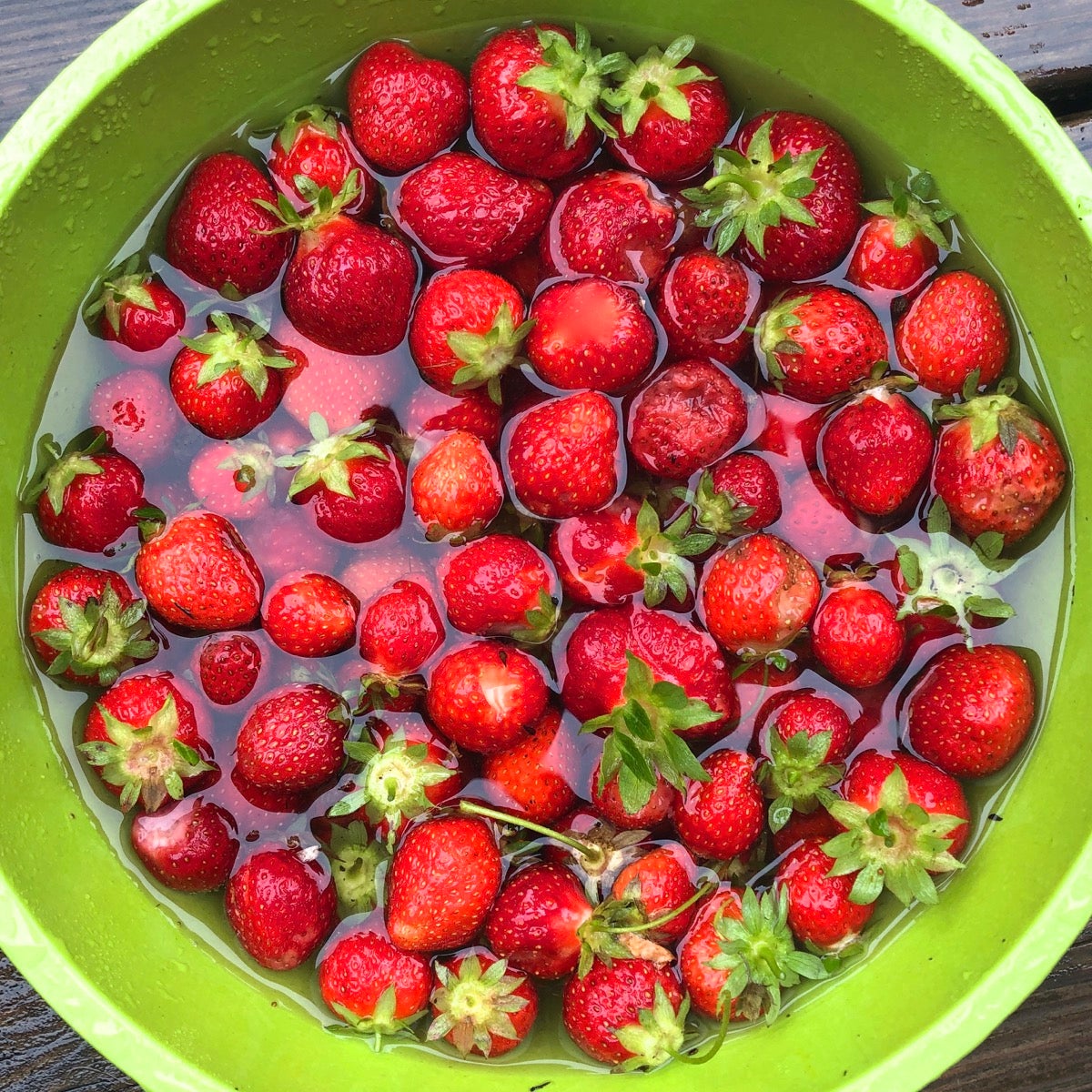 Fresh picked strawberries by soaking in a bowl of cold water with a splash of vinegar.