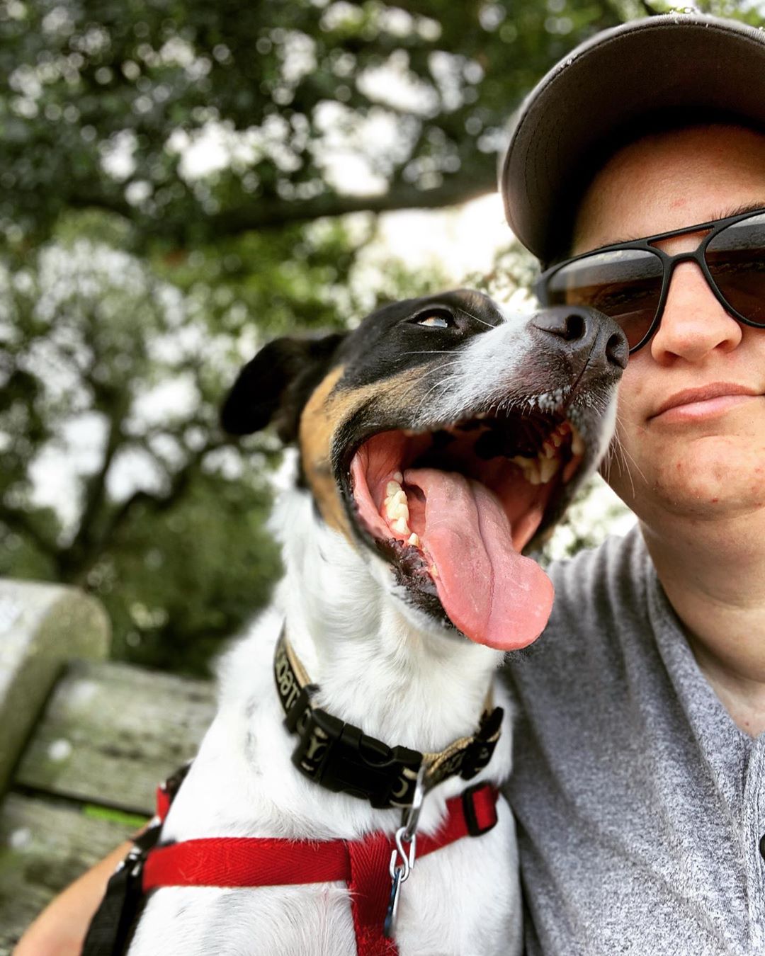 Kelly Fields with her dog