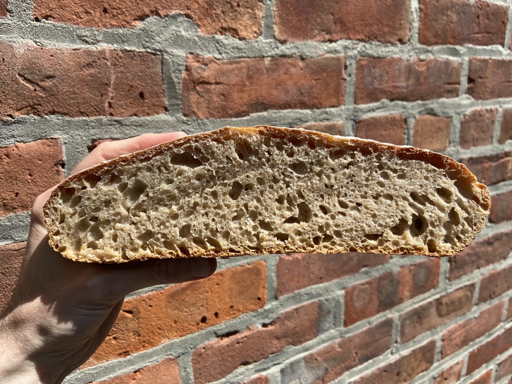 A cross-section of a flat loaf of sourdough bread.