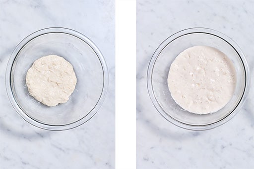Levain before and after doubling in size.