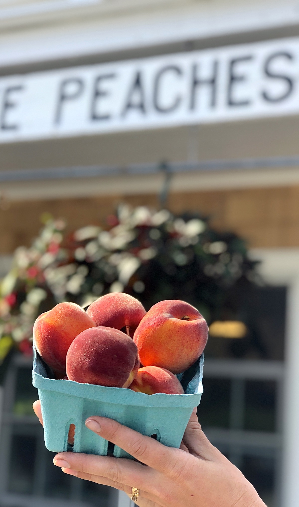 A basket of peaches in front of Crow Farm farmstand in Sandwich, MA.