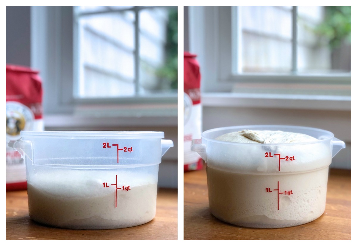 Rustic Sourdough bread dough rising in a snap-top acrylic container.