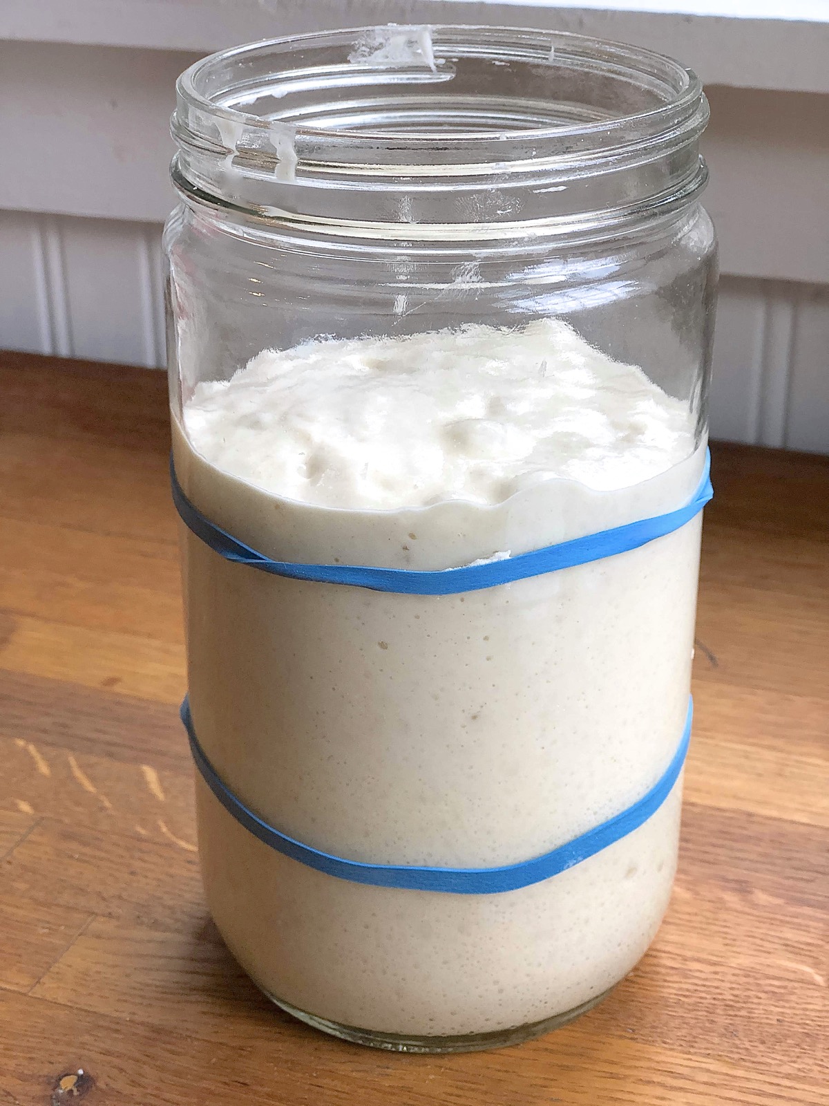 Fed sourdough starter in a  jar, showing its mounded, bumpy (but not bubbly) surface.