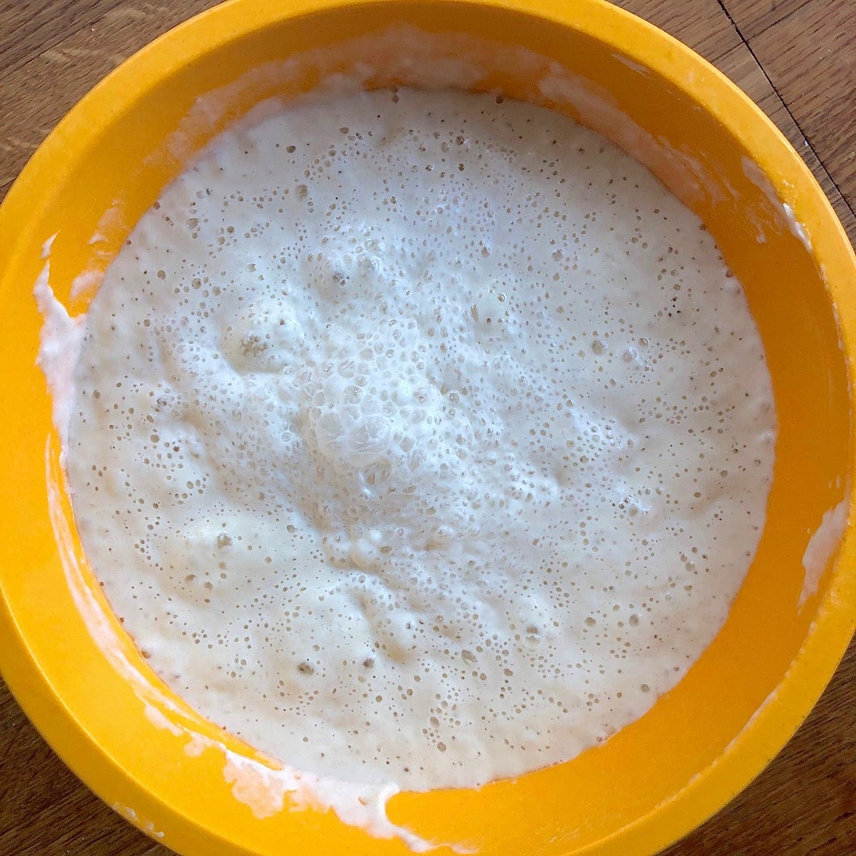 Fed sourdough starter in a bowl with lots of foamy bubbles.