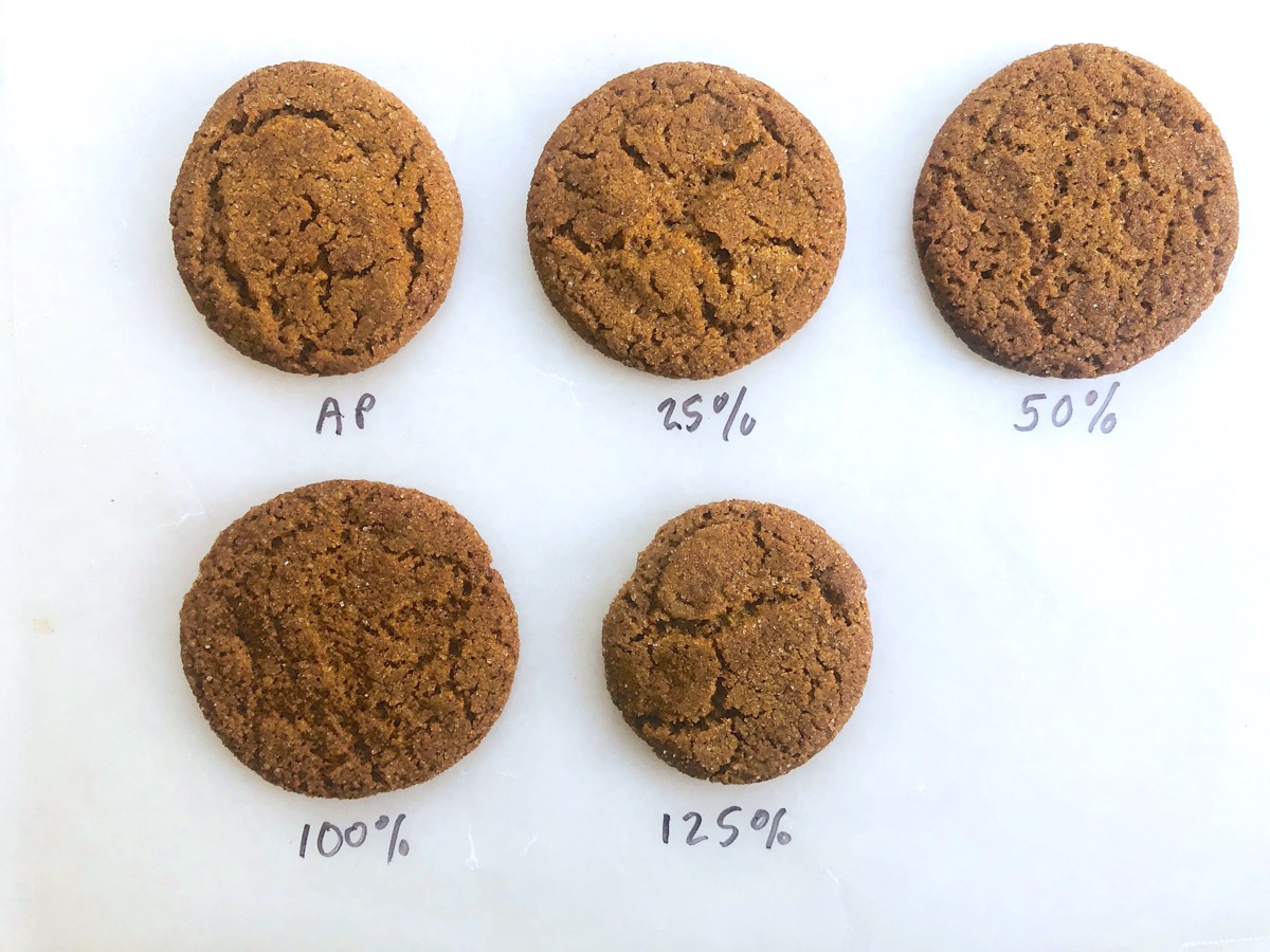 Gingersnap cookies made with varying amounts of rye flour, showing different amounts of spreading.