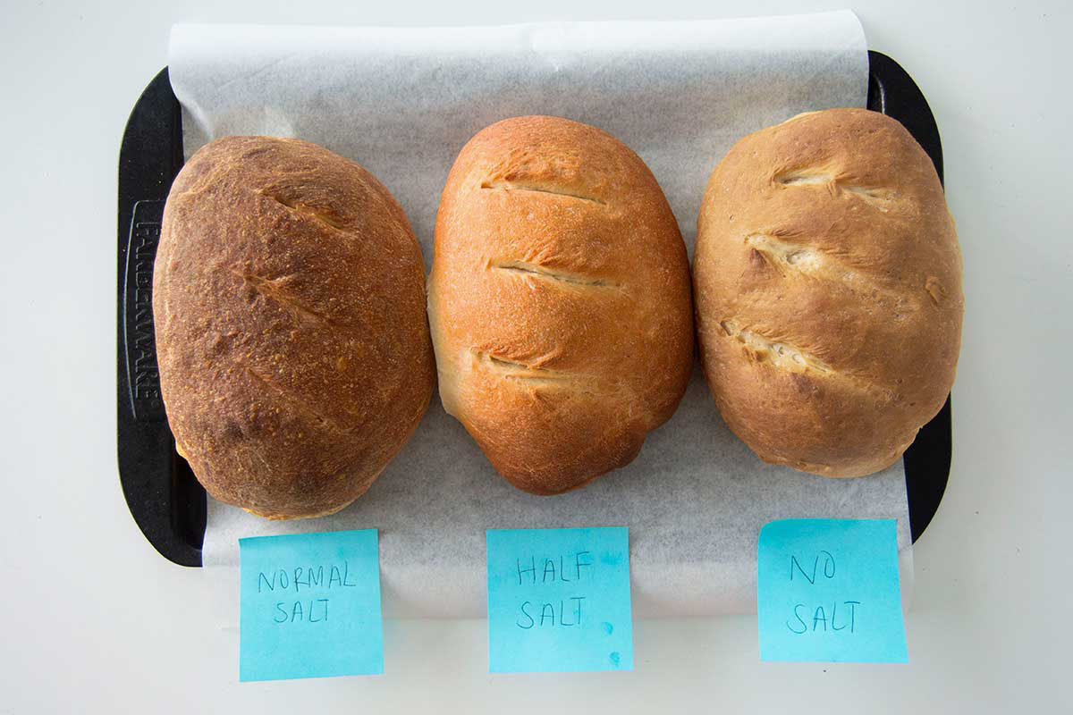 Three loaves of bread with different salt levels, comparing crust color