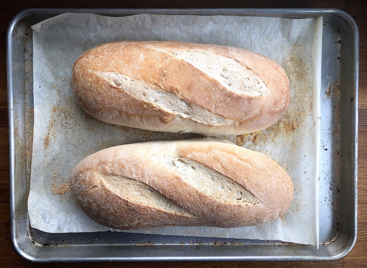 Two loaves of baked hearth bread on a pan, right out of the oven.