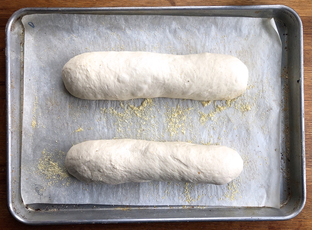 Two long loaves on a baking sheet lined with parchment and sprinkled with cornmeal. 