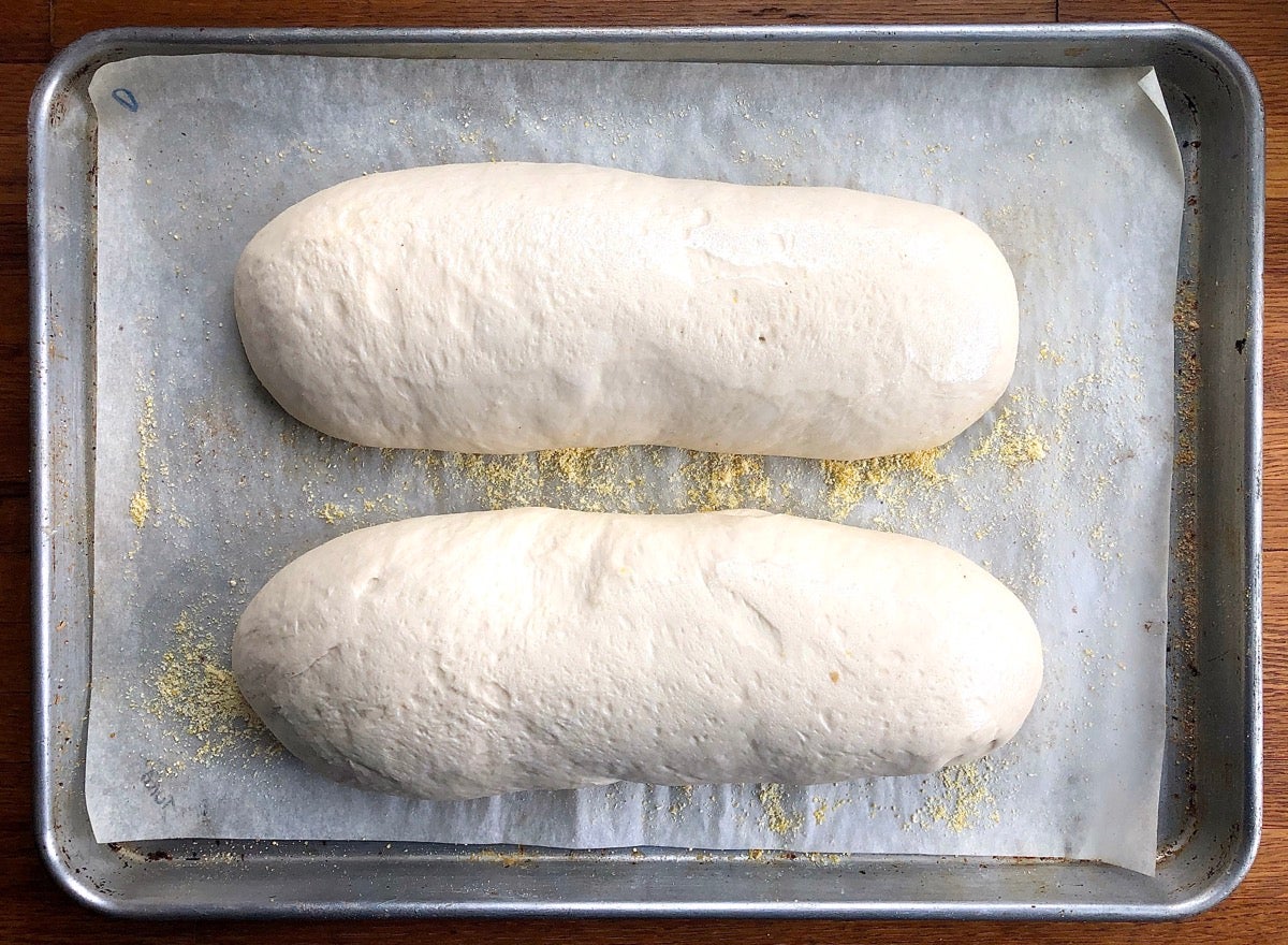 Two shaped loaves after rising for 45 minutes; nicely puffed.