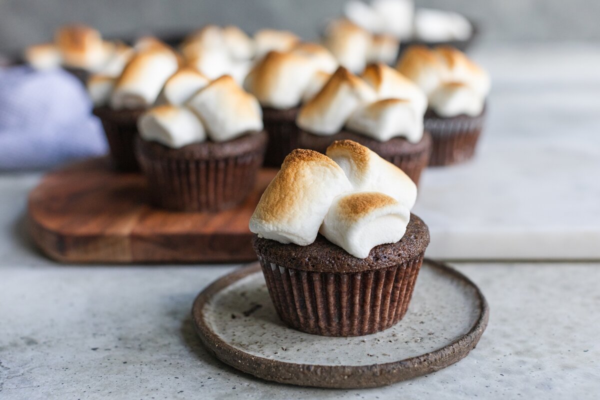 Chocolate cupcakes topped off with toasted marshmallows in a s'mores-like fashion