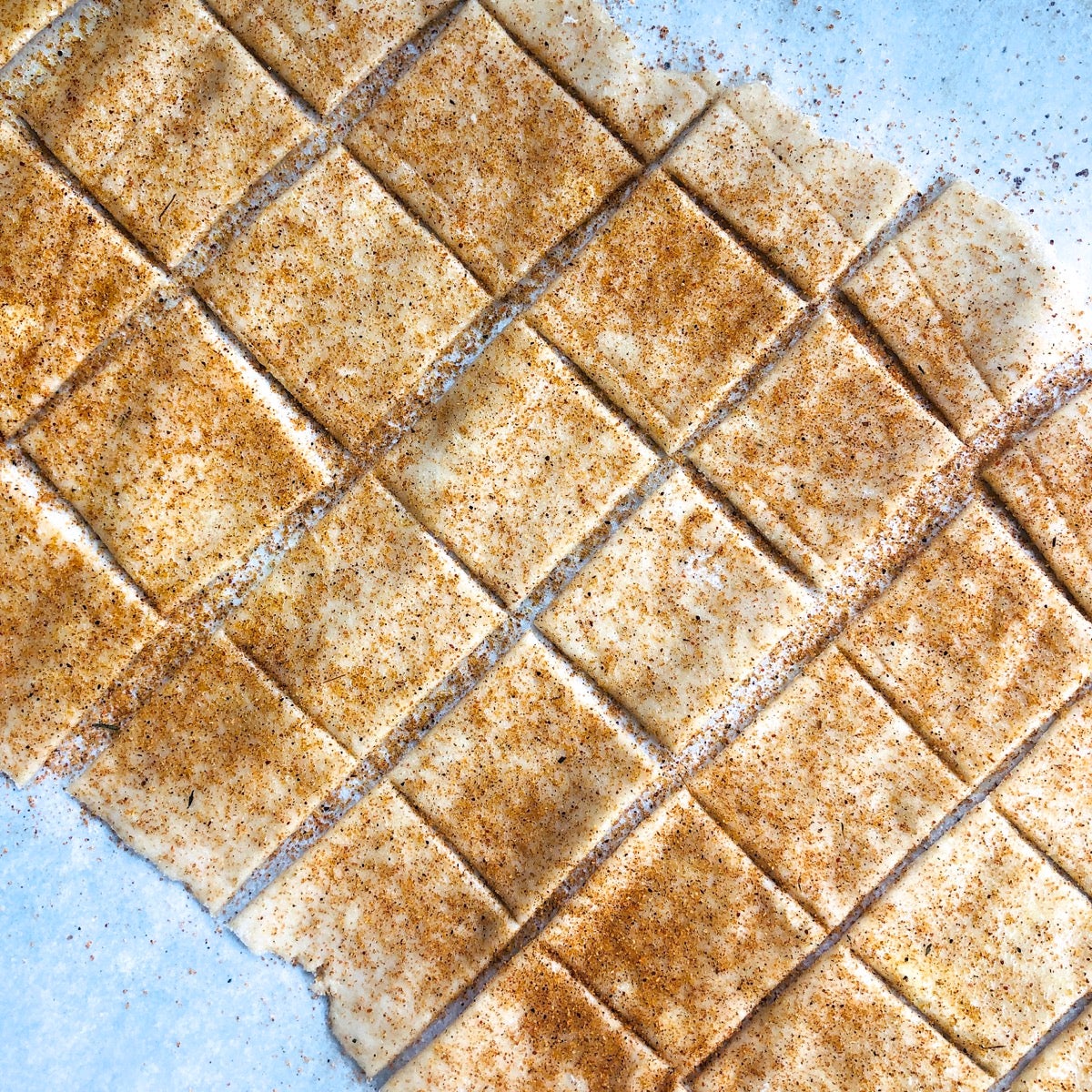 Unbaked sourdough crackers sprinkled with seasoned salt.