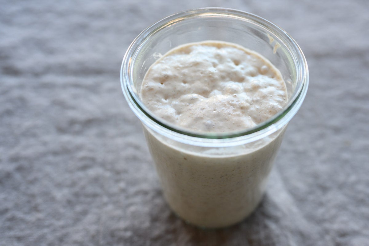 Mature sourdough starter.