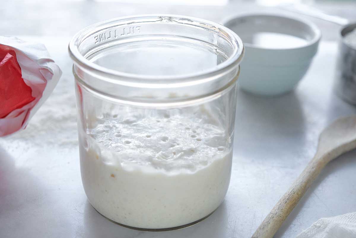 Container of sourdough starter