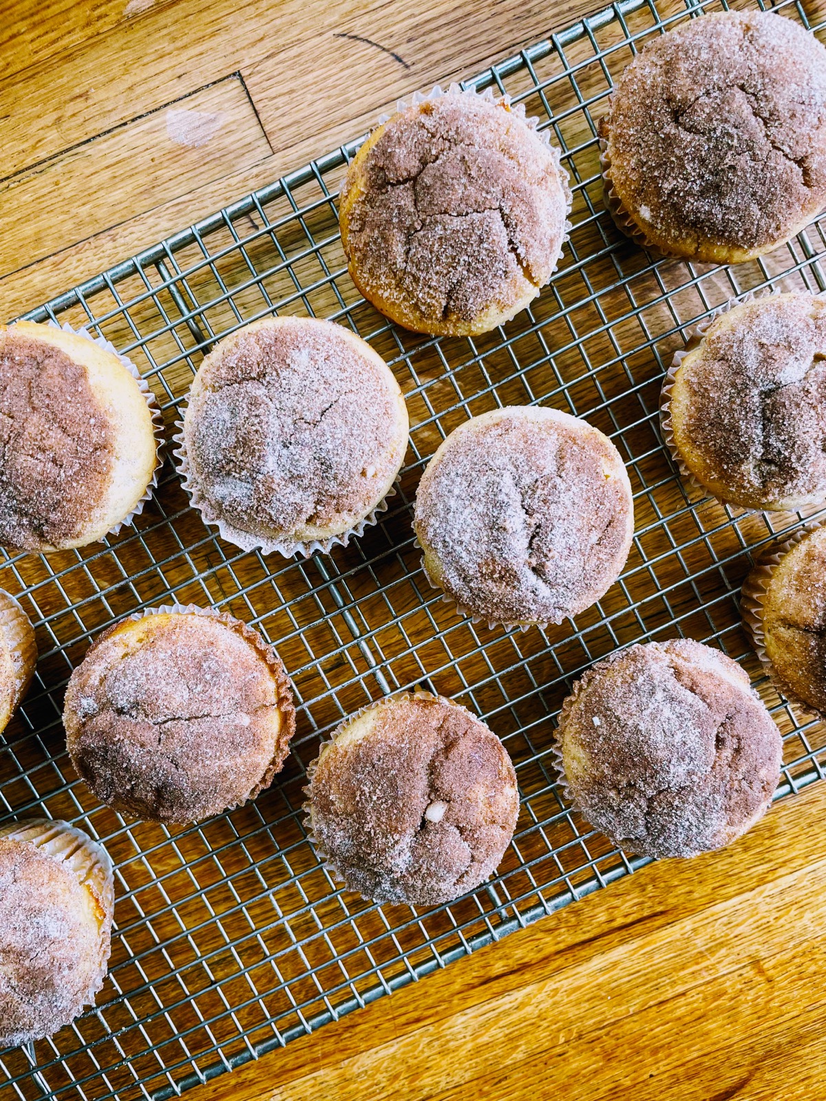 Cinnamon-sugar topped doughnut muffins on a baking sheet.