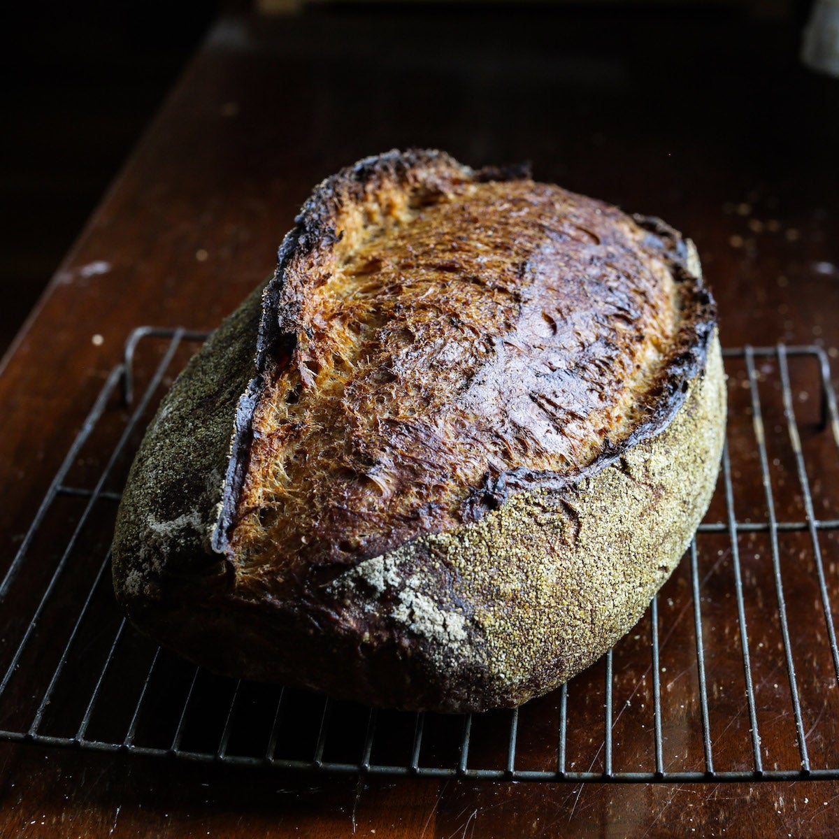 Whole Grain Baking