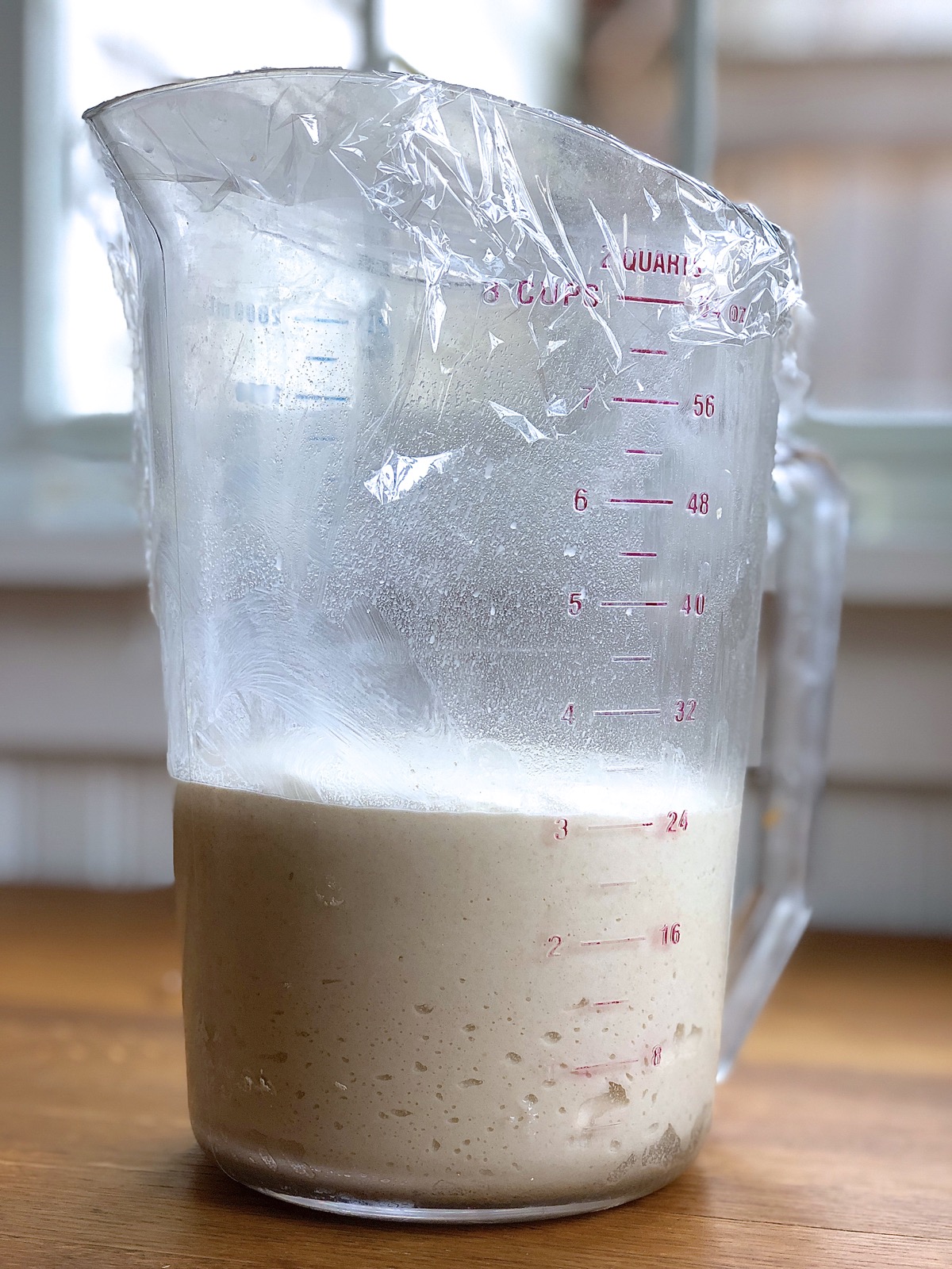 Dough in an 8-cup measure, with scattered bubbles towards the bottom.