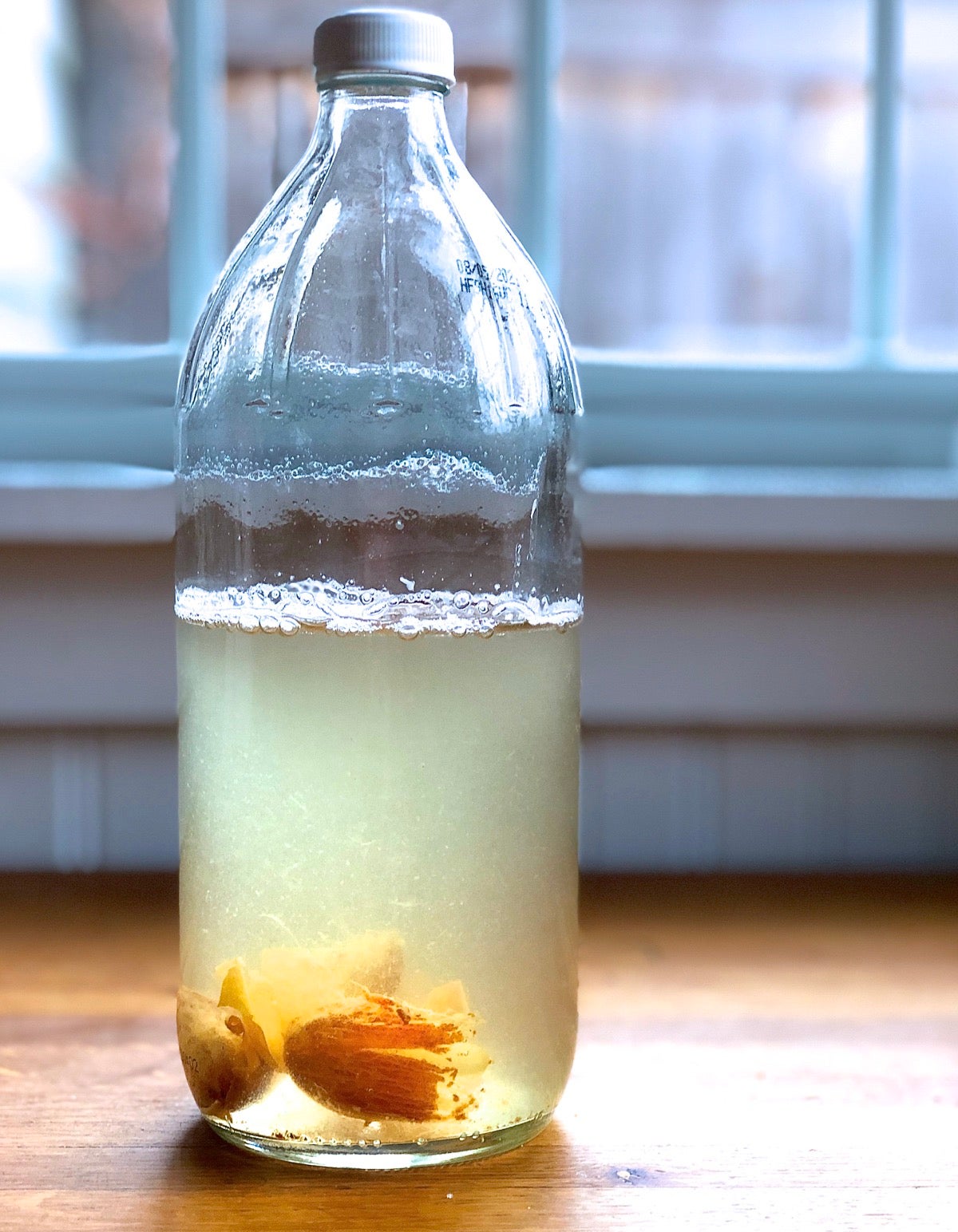 Yeast water after 24 hours showing a thin skim of bubbles on top