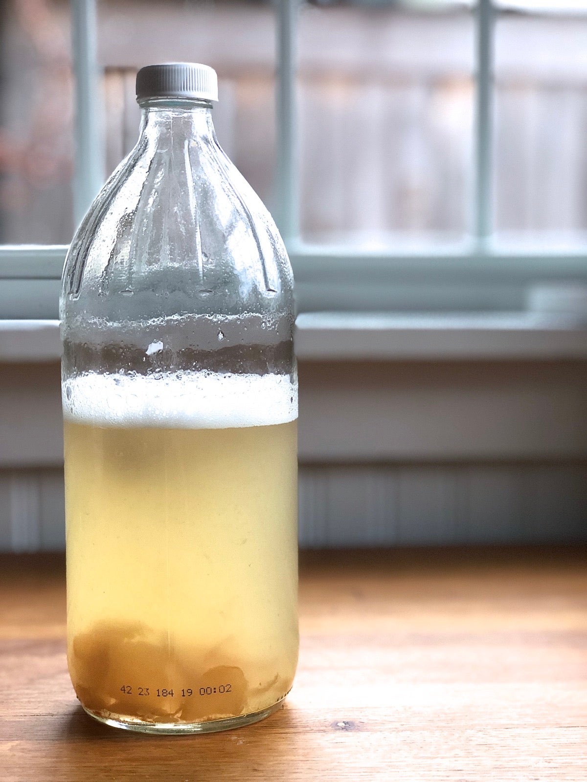 Yeast water after 4 days of fermentation, top surface covered with 1/2" of bubbles.