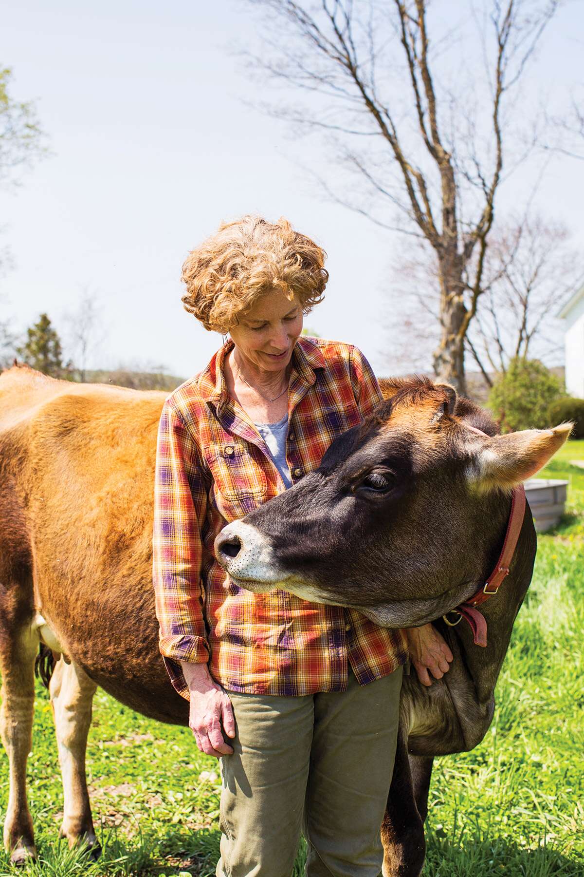 Woman standing with cow