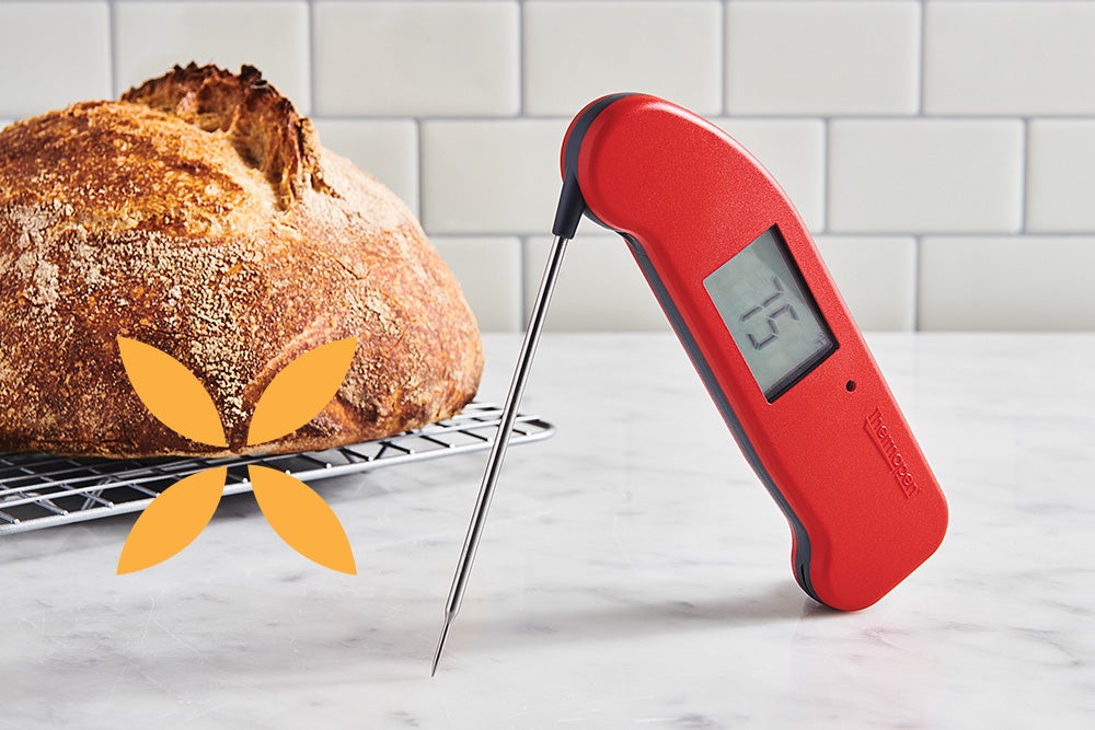 Thermapen One