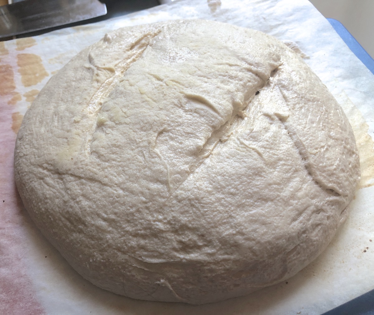 Large, round, flat loaf of bread, slashed and ready to bake.