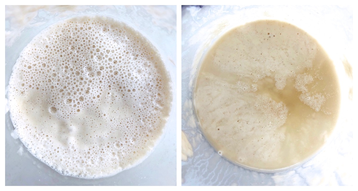 Two sourdough starters side by side: one fed recently, one not fed recently and sowing signs of hunger.