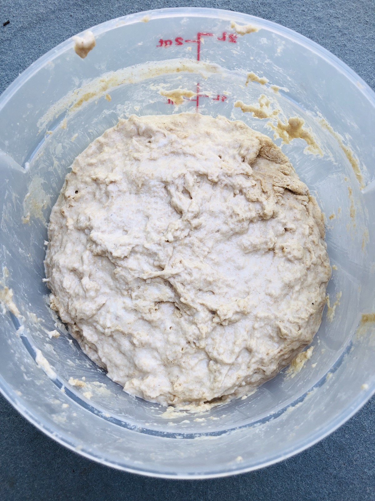 Sticky sourdough dough in a plastic tub, ready to rise.
