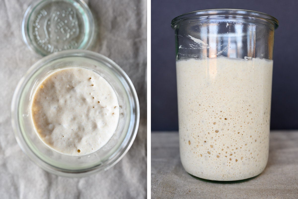 Fully ripe sourdough starter