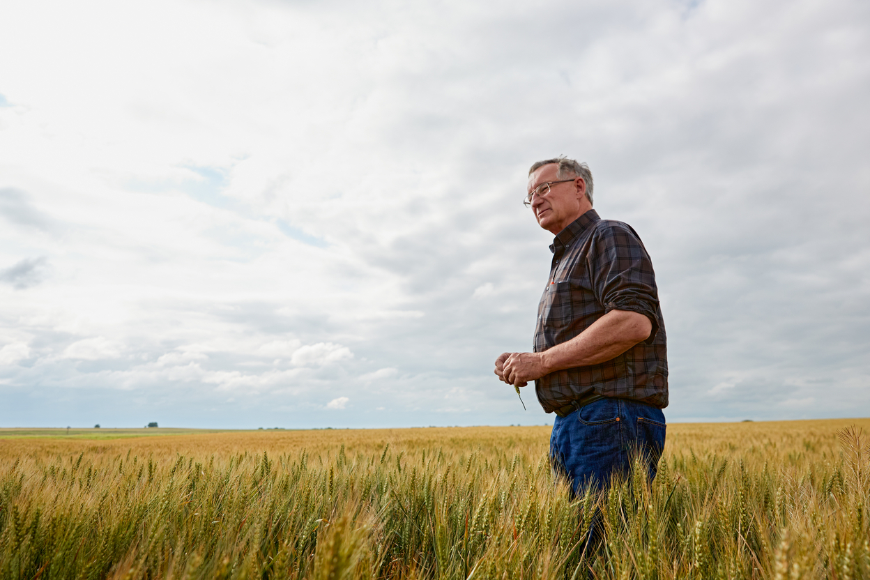 Bob standing in a field of wheat 
