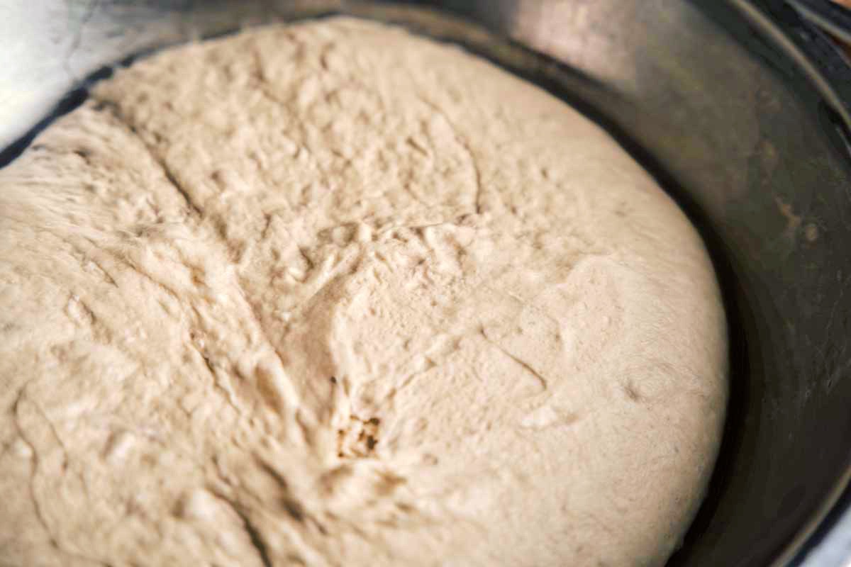 scallion bun dough