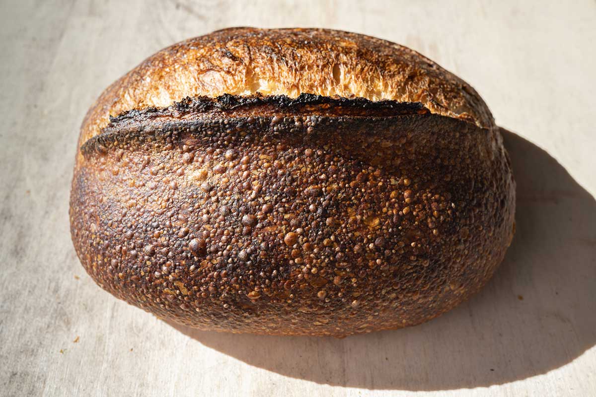 Open Crumb Sourdough Bread — Delectably Mine