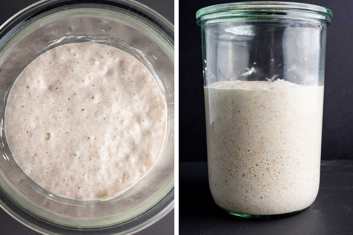 Open Crumb Sourdough Bread — Delectably Mine