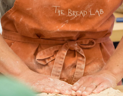 WSU Bread Lab