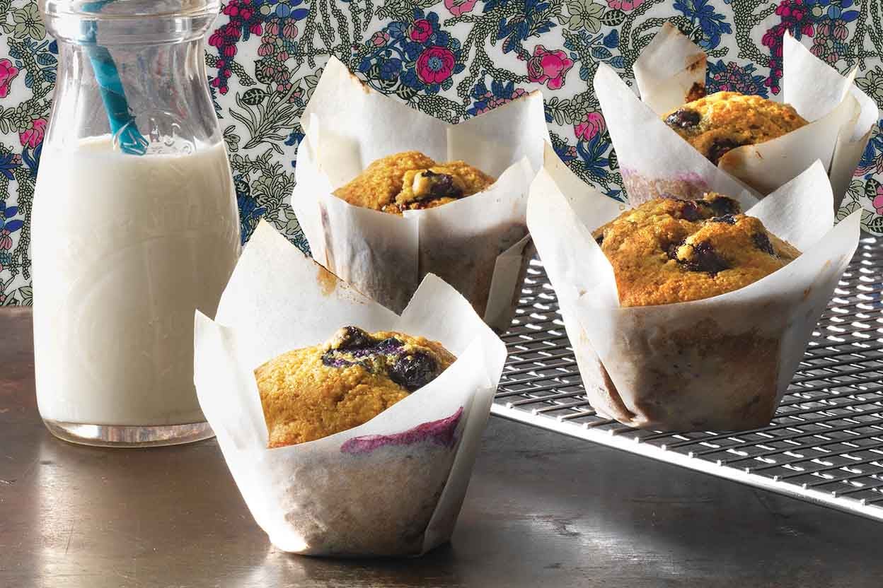 Blueberry Sourdough Muffins-image
