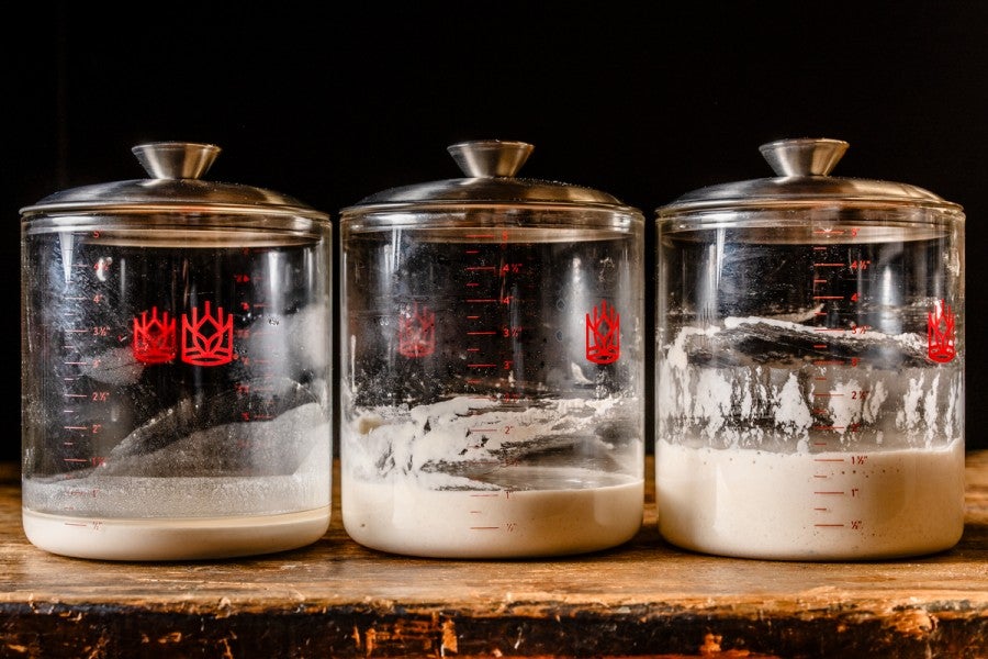 Three crocks of sourdough starter next to each other