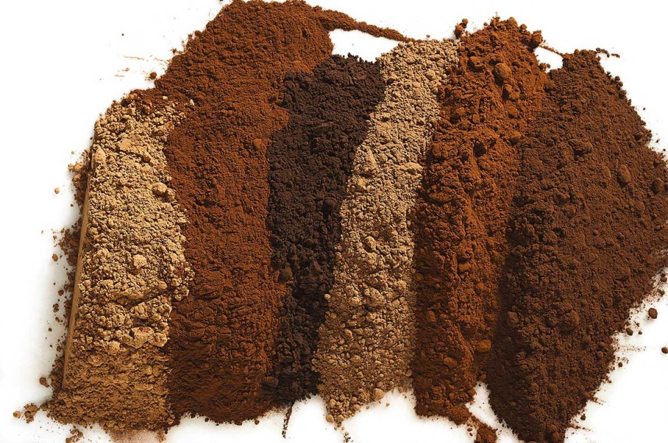 Six different cocoa powders lined up, side by side, highlight their unique shades of brown